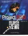 Project 2000数据域详解