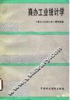 商办工业统计学