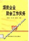 煤炭企业财会工作实务