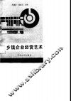 乡镇企业经营艺术