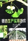 银杏生产实用技术