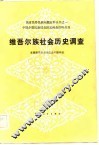 维吾尔族社会历史调查