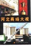 河北商场大观