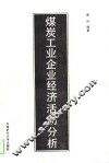 高等学校教学用书  煤炭工业企业经济活动分析