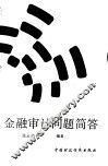 金融审计问题简答