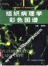 组织病理学彩色图谱