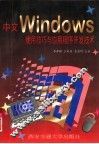 中文Windows使用技巧与应用程序开发技术