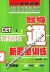 大学英语四级考试新题型训练 电子书封面