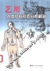 艺用人体结构形态分析解剖