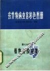 农作物病虫害彩色图册  第7分册  植物检疫对象
