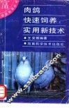 肉鸽快速饲养实用新技术
