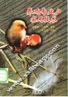 养鸡专业户实用技术