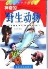 神奇的野生动物