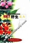 三北野生花卉