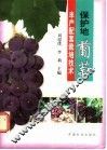 保护地葡萄丰产配套栽培技术