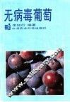 无病毒葡萄