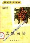 龙眼栽培