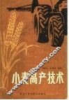 小麦高产技术