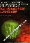 冬小麦种质创新与评价利用