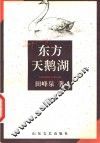 东方天鹅湖