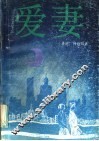 爱妻 电子书封面