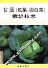 甘蓝  包菜、圆白菜  栽培技术