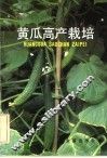 黄瓜高产栽培