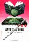 结球甘蓝栽培