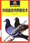 肉鸽高效饲养新技术