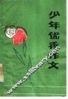 少年优秀作文