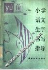 小学语文生字书写指导  下