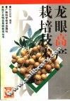 龙眼高产栽培技术
