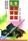 龟鳖高效养殖指南
