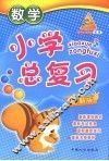小学总复习  数学  最新版