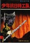 少年抗日特工队 封面