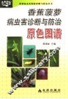 香蕉菠萝病虫害诊断与防治原色图谱
