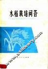 水稻栽培问答