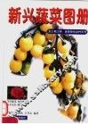 新兴蔬菜图册