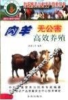 肉羊无公害高效养殖