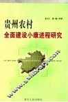贵州农村全面建设小康进程研究  第一次现代化并兼容某些领域的跨越式发展
