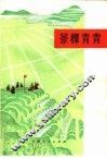 茶棵青青