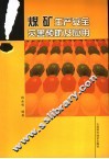 煤矿生产安全灾害预防及应用