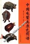 中国龟鳖类原色图谱