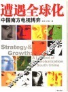 遭遇全球化 中国南方电视博弈