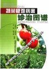 蔬菜疑难病害诊治图谱