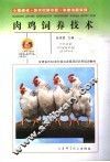 肉鸡饲养技术