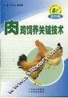 肉鸡饲养关键技术