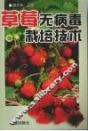 草莓无病毒栽培技术