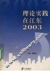 理论实践在江东  2003