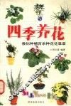 四季养花